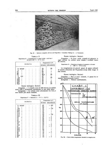 Rivista del freddo periodico mensile illustrato tecnico, scientifico, economico, commerciale