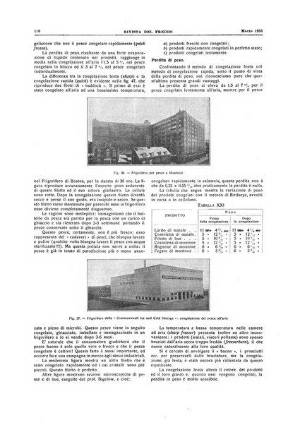 Rivista del freddo periodico mensile illustrato tecnico, scientifico, economico, commerciale