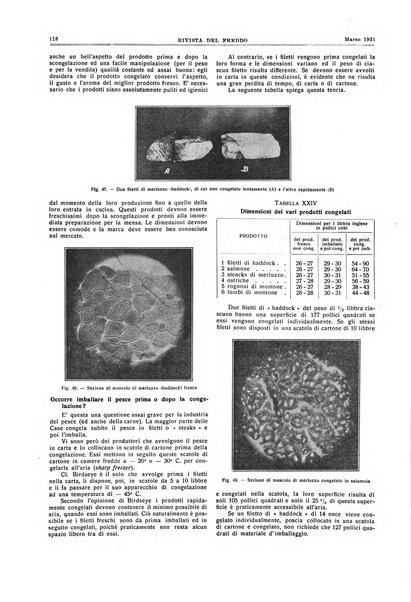 Rivista del freddo periodico mensile illustrato tecnico, scientifico, economico, commerciale