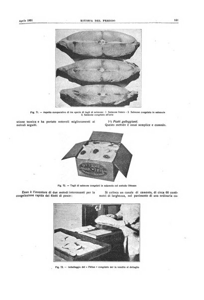 Rivista del freddo periodico mensile illustrato tecnico, scientifico, economico, commerciale