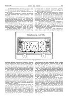 giornale/RML0021303/1932/unico/00000393