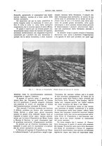 giornale/RML0021303/1933/unico/00000110