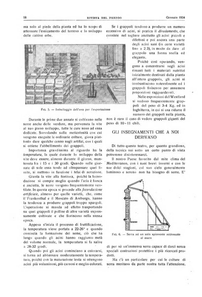 Rivista del freddo periodico mensile illustrato tecnico, scientifico, economico, commerciale