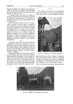 giornale/RML0021303/1934/unico/00000195