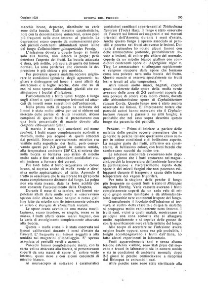 Rivista del freddo periodico mensile illustrato tecnico, scientifico, economico, commerciale