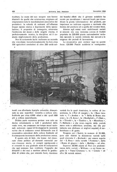 Rivista del freddo periodico mensile illustrato tecnico, scientifico, economico, commerciale