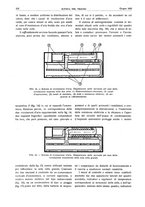 giornale/RML0021303/1935/unico/00000368