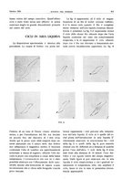 giornale/RML0021303/1935/unico/00000635