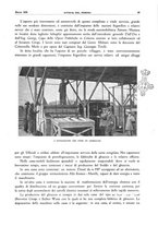 giornale/RML0021303/1936/unico/00000121