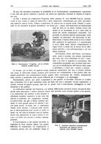 giornale/RML0021303/1936/unico/00000346