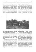 giornale/RML0021303/1936/unico/00000555