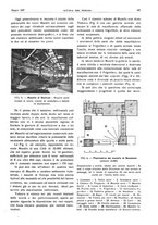 giornale/RML0021303/1937/unico/00000233