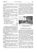 giornale/RML0021303/1937/unico/00000361