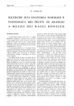 giornale/RML0021303/1938/unico/00000241