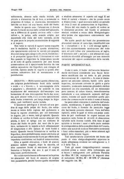 Rivista del freddo periodico mensile illustrato tecnico, scientifico, economico, commerciale