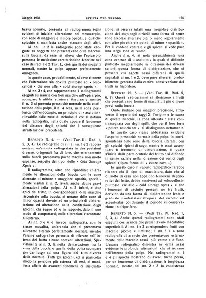 Rivista del freddo periodico mensile illustrato tecnico, scientifico, economico, commerciale