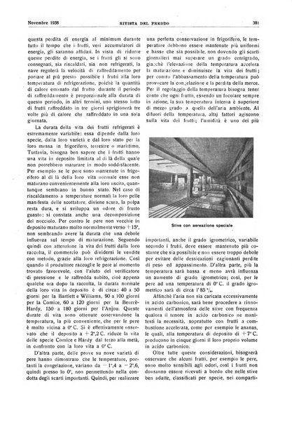 Rivista del freddo periodico mensile illustrato tecnico, scientifico, economico, commerciale