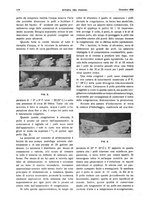 giornale/RML0021303/1938/unico/00000616