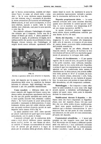 Rivista del freddo periodico mensile illustrato tecnico, scientifico, economico, commerciale