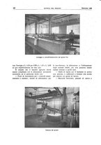 giornale/RML0021303/1939/unico/00000446