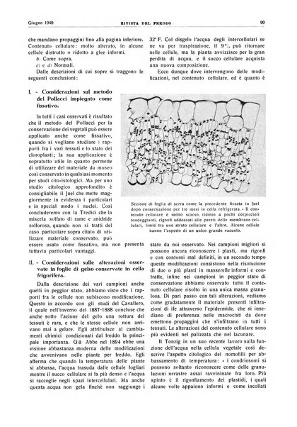 Rivista del freddo periodico mensile illustrato tecnico, scientifico, economico, commerciale