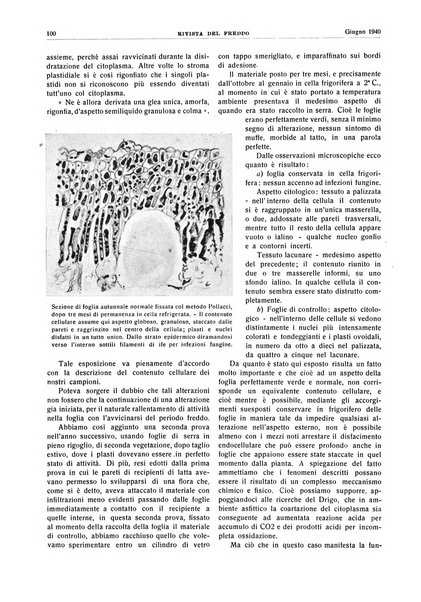 Rivista del freddo periodico mensile illustrato tecnico, scientifico, economico, commerciale