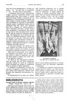 giornale/RML0021303/1941/unico/00000135