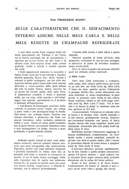 Rivista del freddo periodico mensile illustrato tecnico, scientifico, economico, commerciale