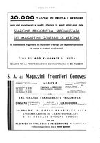 giornale/RML0021303/1942/unico/00000119