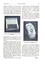 giornale/RML0021303/1943/unico/00000191