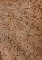 giornale/RML0021437/1919/V.2/00000003