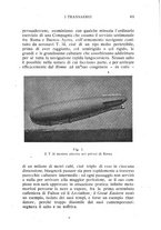 giornale/RML0021437/1921/V.6/00000441