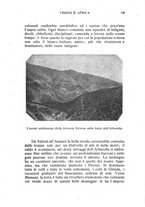 giornale/RML0021437/1921/V.7/00000149