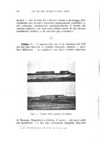 giornale/RML0021437/1921/V.7/00000396