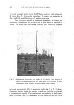 giornale/RML0021437/1923/V.11/00000224