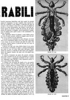 giornale/RML0021505/1938/unico/00000321