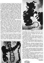 giornale/RML0021505/1938/unico/00000325