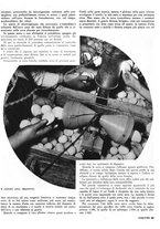 giornale/RML0021505/1938/unico/00000361