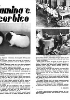 giornale/RML0021505/1939/unico/00000117