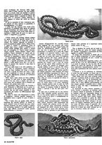 giornale/RML0021505/1939/unico/00000256