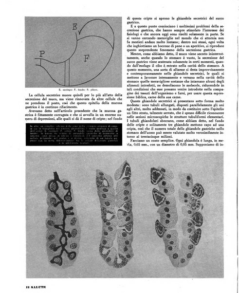 Salute quindicinale illustrato di divulgazione medica