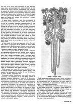 giornale/RML0021505/1939/unico/00000343