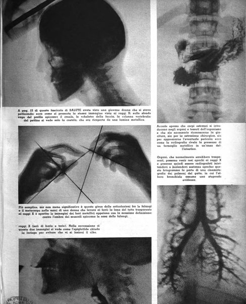 Salute quindicinale illustrato di divulgazione medica