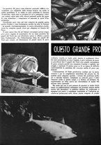 giornale/RML0021505/1939/unico/00000398