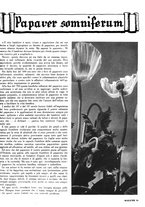 giornale/RML0021505/1939/unico/00000431