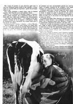 giornale/RML0021505/1939/unico/00000468