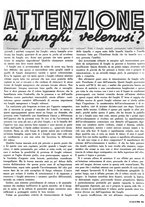 giornale/RML0021505/1939/unico/00000531