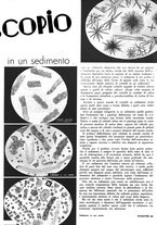 giornale/RML0021505/1939/unico/00000535