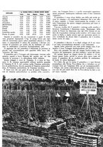 giornale/RML0021505/1939/unico/00000581