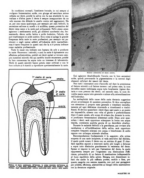 Salute quindicinale illustrato di divulgazione medica